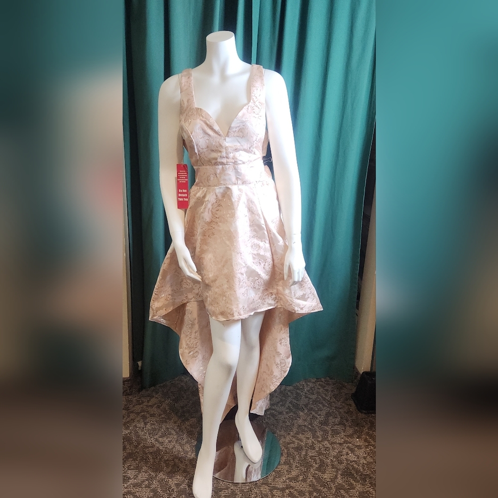 NWT Crystal Doll Pale Peach Floral High Low Dress with an A-line Skirt